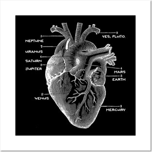 Solar Vascular System Posters and Art